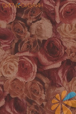 Розы коричневые, фото 1