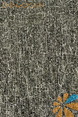 Мятая черная, фото 1