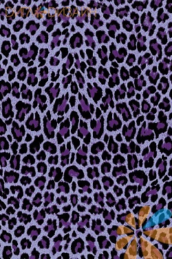 Гепард фиолетовый, фото 1