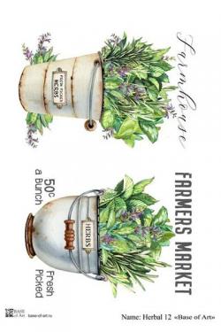 Herbal 12 , фото 1