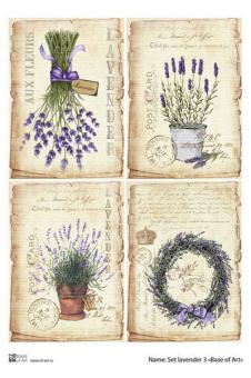 Set Lavender 3 A4