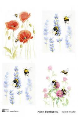 Bumblebee 5 A4, фото 1