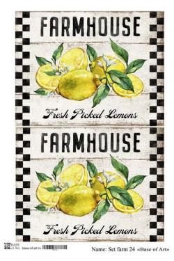 Set farm 24 , фото 1