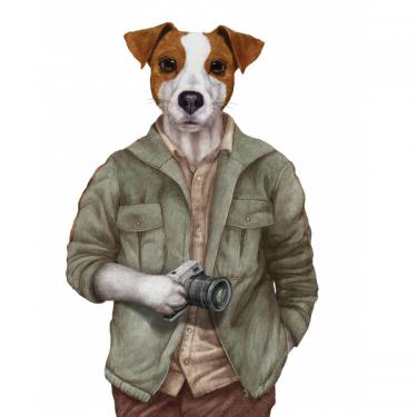 Трансфер д/ткани PAFT05 21*30 см, фото 1