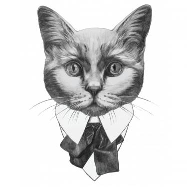 Трансфер д/ткани PAFT07 21*30 см, фото 1