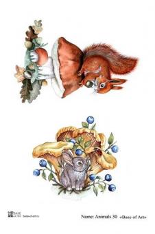 Animals 30 A4
