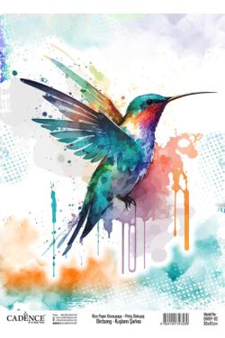 BRRP-02 30х42см, фото 1