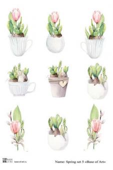 Spring set 5 
