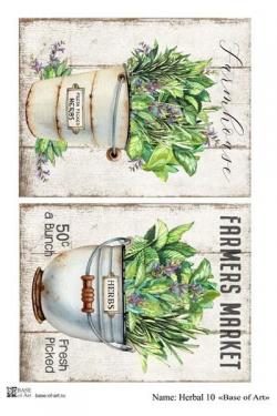 Herbal 10 , фото 1