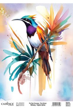 BRRP-03 30х42см, фото 1