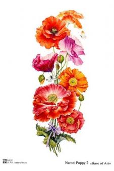 Poppy 2 