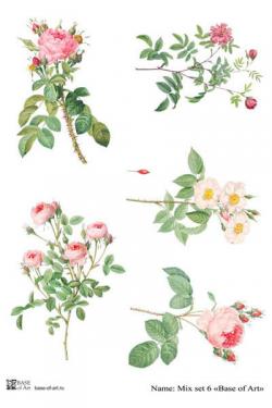 Mix set 6 A4, фото 1
