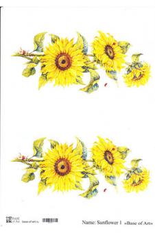 Sunflower 1 