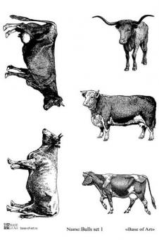 Bulls set 1 A4