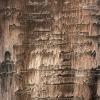 Liquid Wax, фото 2