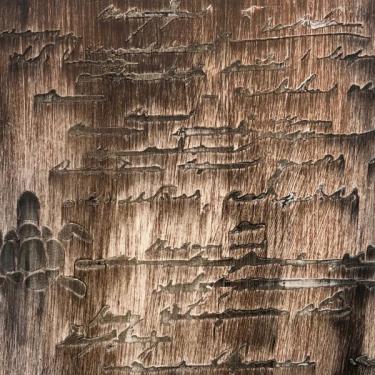 Liquid Wax, фото 2
