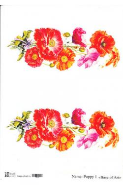 Poppy 1 , фото 1