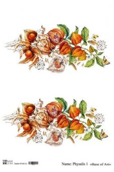 Physalis 1 А4