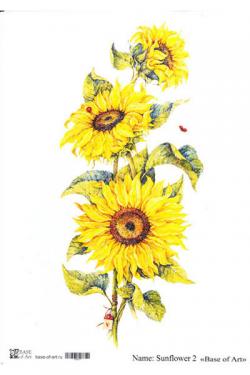 Sunflower 2 , фото 1