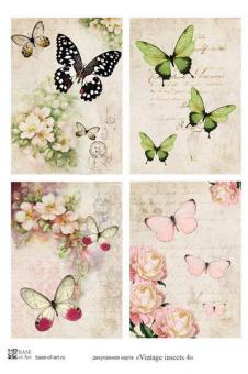 Vintage insects 4 