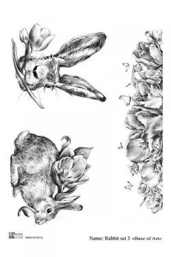 Rabbit set 3 A4, фото 1