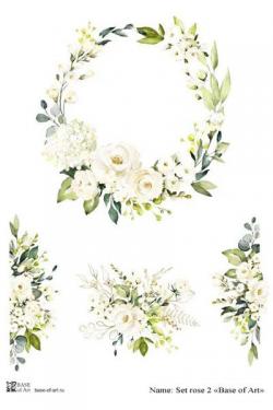Set rose 2 A3, фото 1