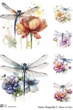 Dragonfly 2 A4, фото 1