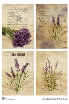 Set Lavender 2 A4