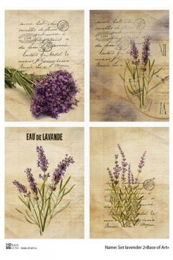 Set Lavender 2 A4, фото 1