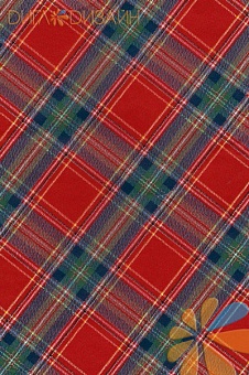 Клетка красно-зеленая Клетка красно-зеленая