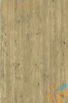 Дерево Дерево