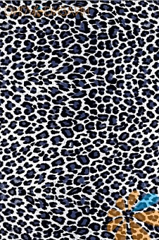 Гепард черно-белый Гепард черно-белый