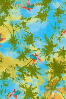 Пальмы/попугаи Пальмы/попугаи